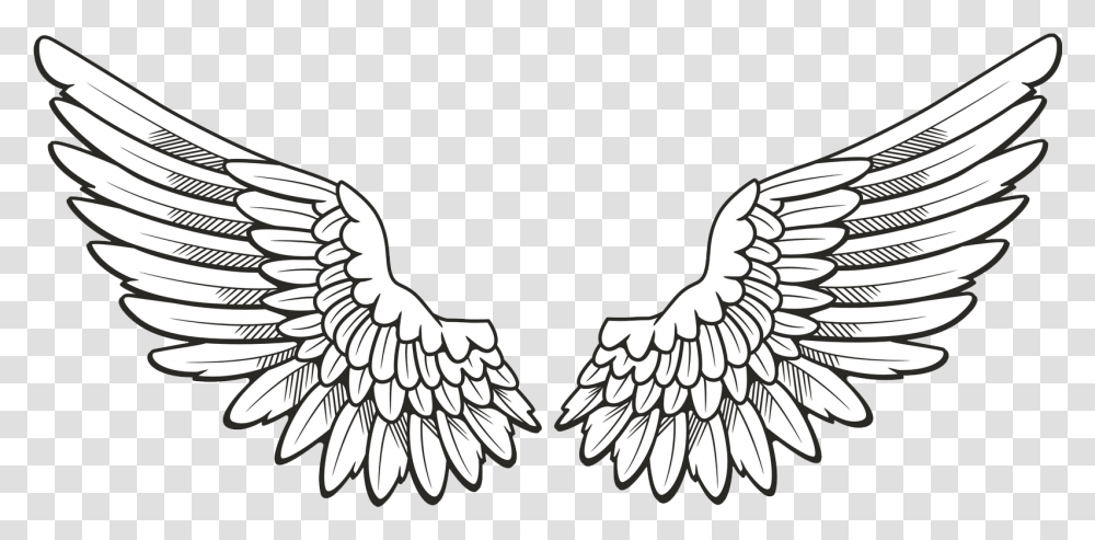 Wings Wings, Eagle, Bird, Animal, Symbol Transparent Png