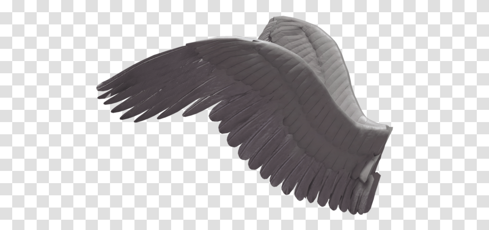Wings Wings From The Side, Bird, Animal, Waterfowl, Flying Transparent Png