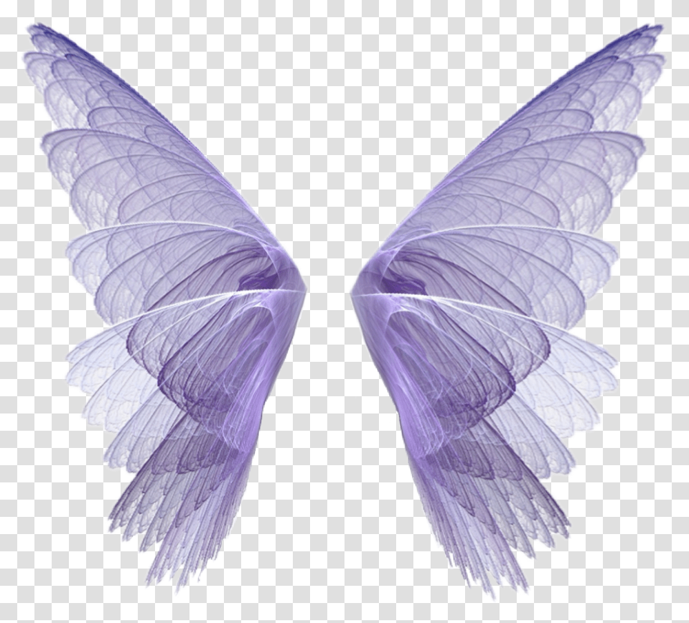 Wingsart Wings Scwings Fairytale Fantasy Fairy Fairy Wings, Butterfly, Insect, Invertebrate, Animal Transparent Png