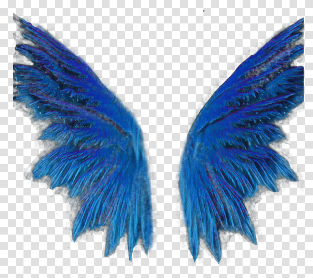Wingsbts Blue Wings Wing Golden, Ornament, Pattern, Fractal, Bird Transparent Png