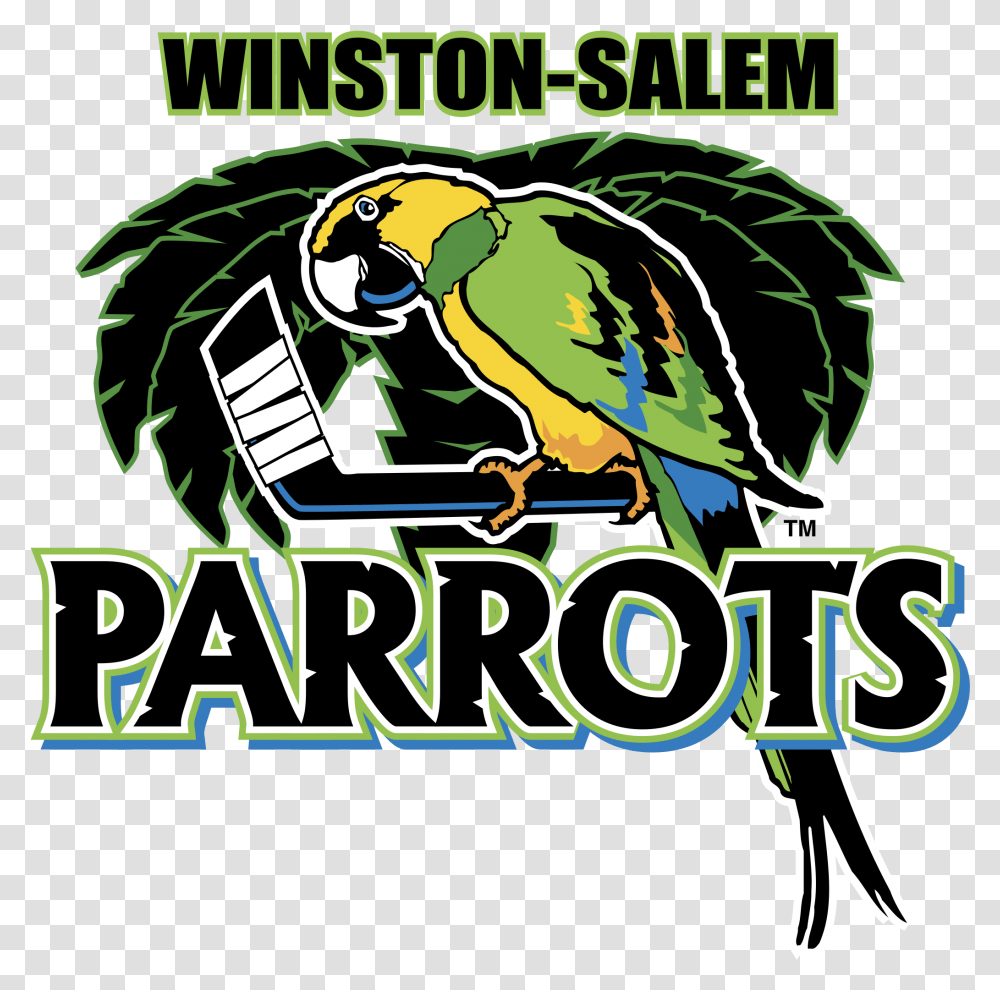 Winston Salem Parrots Logo & Svg Vector Logo, Bird, Animal, Macaw, Symbol Transparent Png