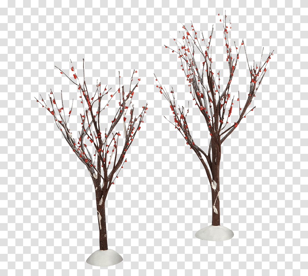 Winter Berry Trees Twig, Plant, Tabletop, Stand, Nature Transparent Png
