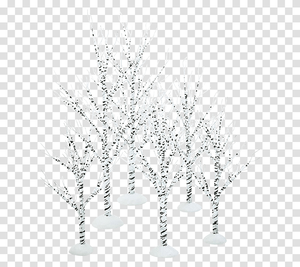 Winter Birch Trees Still Life Photography, Chandelier, Lamp, Plant, Antler Transparent Png