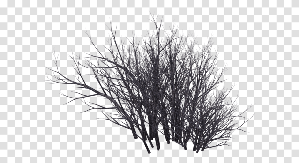 Winter Bush 09 By Wolverine04 Shrubs Black And White, Nature, Outdoors, Crystal, Mineral Transparent Png