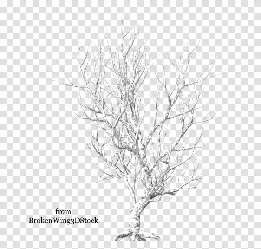 Winter By Brokenwing Dstock Broken Tree Hd, Plant, Root, Bonsai, Potted Plant Transparent Png