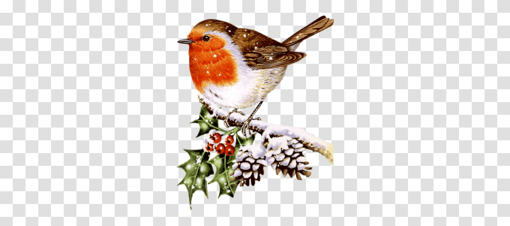 Winter Clip Art, Bird, Animal, Robin, Finch Transparent Png