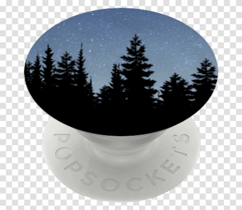 Winter Forest Pine Tree Silhouette, Plant, Outdoors, Nature, Dish Transparent Png