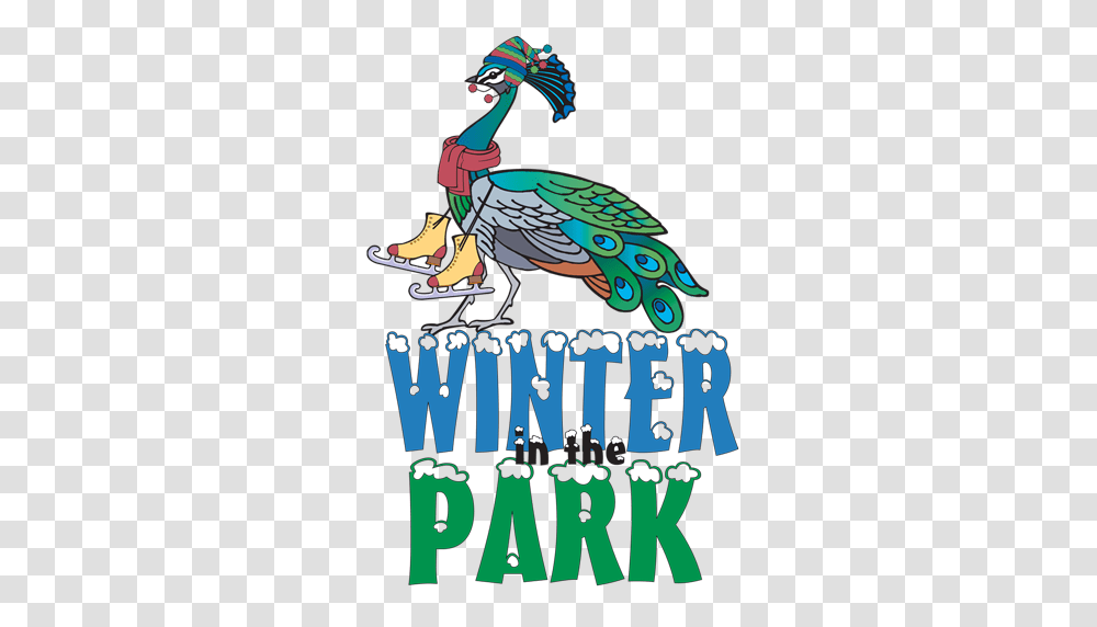 Winter In The Holiday Ice Skating Rink City Of Winter Park, Animal, Bird, Peacock, Word Transparent Png
