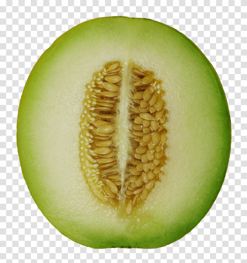 Winter Melon Image, Vegetable, Fruit, Plant, Food Transparent Png