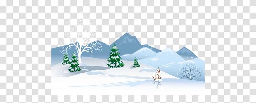 Winter, Nature, Tree, Plant, Christmas Tree Transparent Png