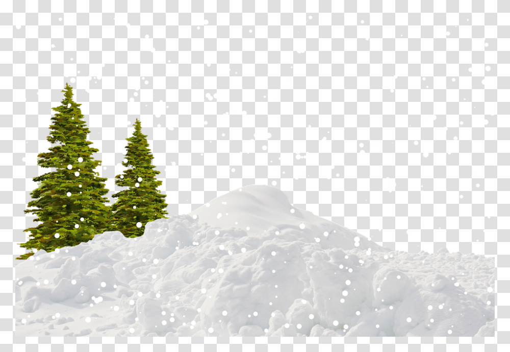 Winter, Nature, Tree, Plant, Fir Transparent Png