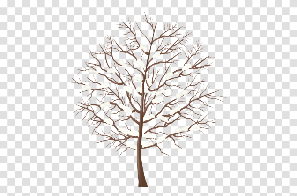 Winter, Nature, Tree, Plant, Lamp Transparent Png