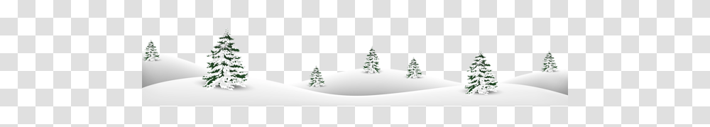 Winter, Nature, Tree, Plant, Outdoors Transparent Png