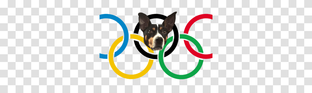 Winter Olympics Archives, Boston Bull, Bulldog, Pet, Canine Transparent Png