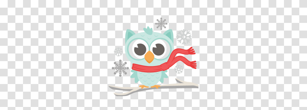 Winter Owl Owl Obsession Owl Winter And Clip Art, Poster, Advertisement, Bird, Animal Transparent Png
