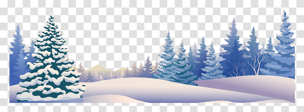 Winter Panoramic, Tree, Plant, Nature, Outdoors Transparent Png