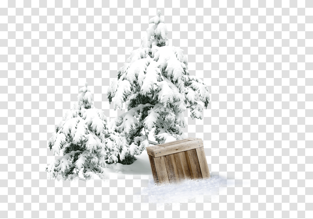 Winter Pine Wooden Box Download Pine Cover Snow Tree, Nature, Outdoors, Plant, Ice Transparent Png