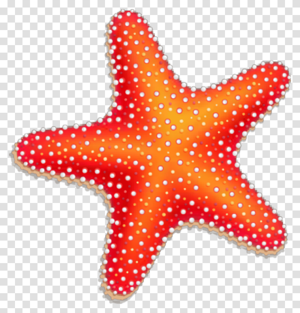 Winter Starfish Clipart Svg Freeuse Pin By Clip Art Starfish Cartoon, Sea Life, Animal, Invertebrate, Giraffe Transparent Png