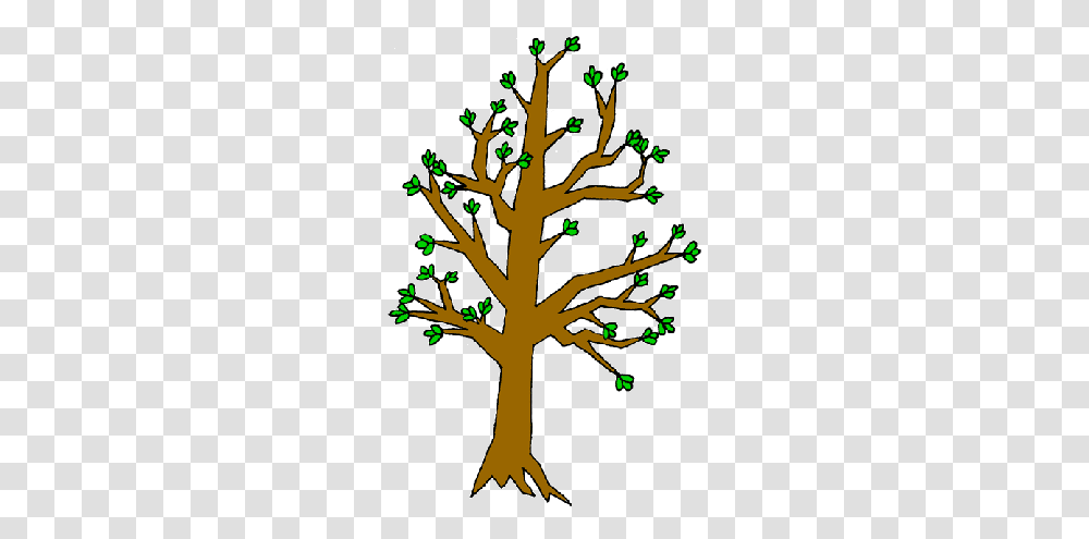 Winter Tree Bud Clipart, Plant, Cross, Oak Transparent Png