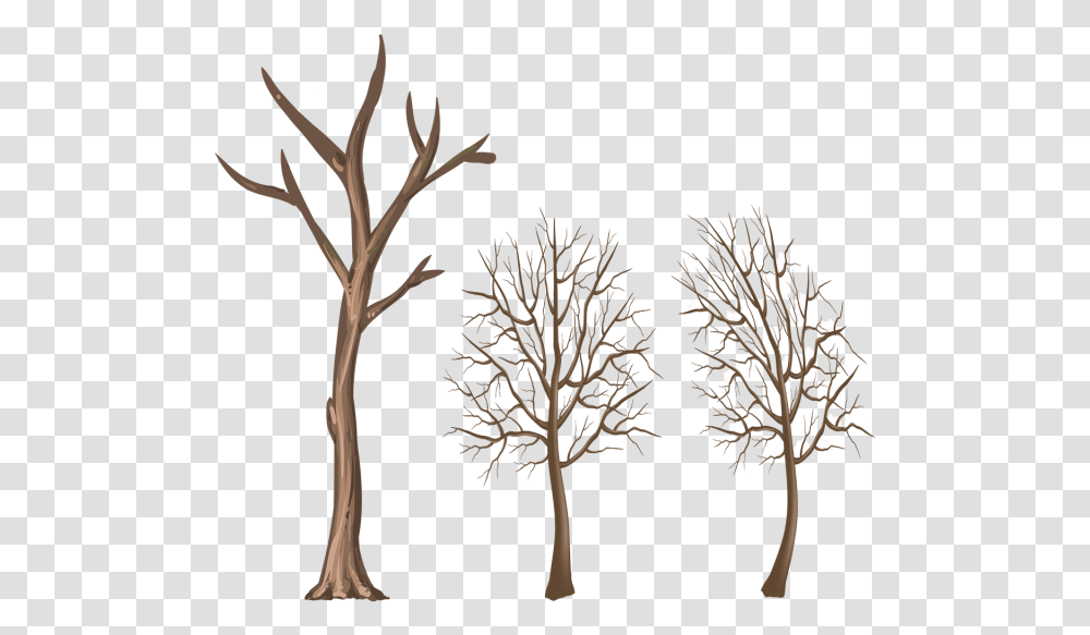 Winter Tree Trunk Clipart Download Branches Of Trees, Plant, Nature, Outdoors, Lighting Transparent Png