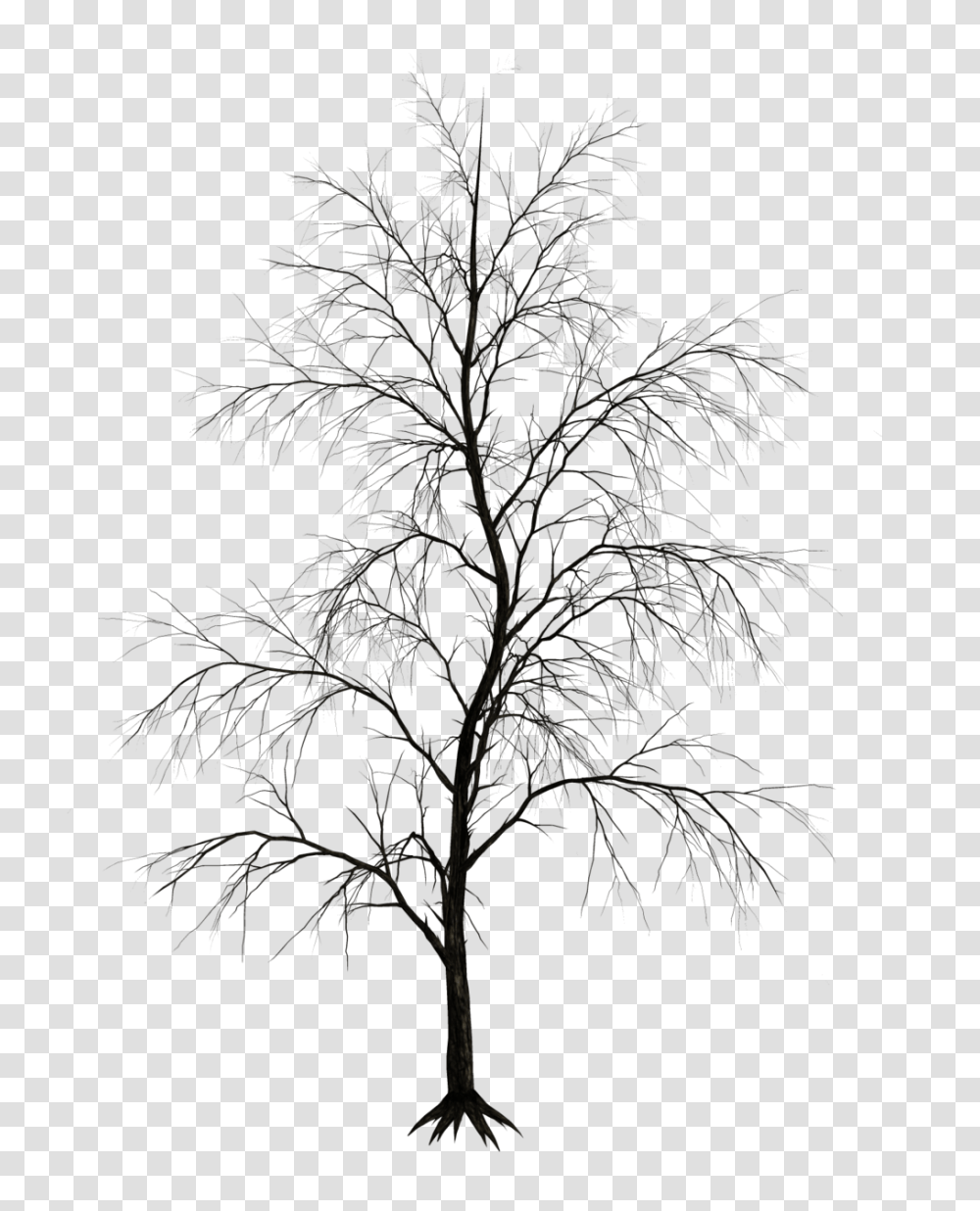 Winter Trees 6 Image Dark Trees, Nature, Outdoors, Night, Moon Transparent Png