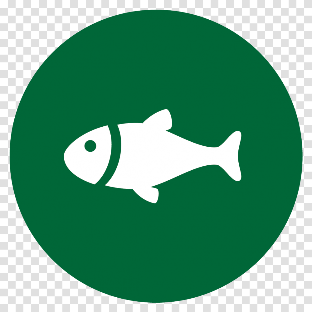 Wintergreen Sporting Club Annual Membership For One Person - Green Fish Icon, Animal, Mammal, Carp, Sea Life Transparent Png