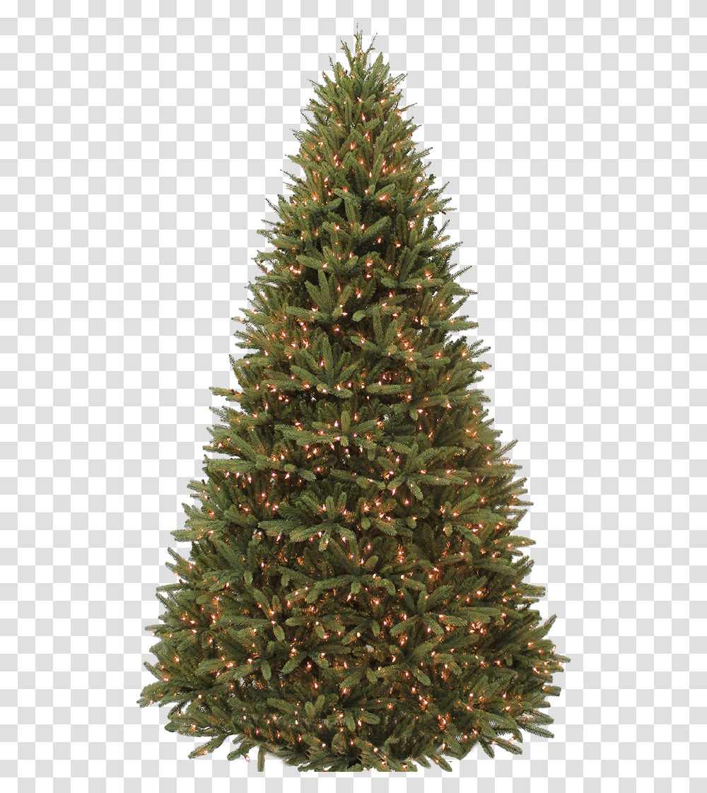 Wintergreen Tree, Christmas Tree, Ornament, Plant, Pine Transparent Png