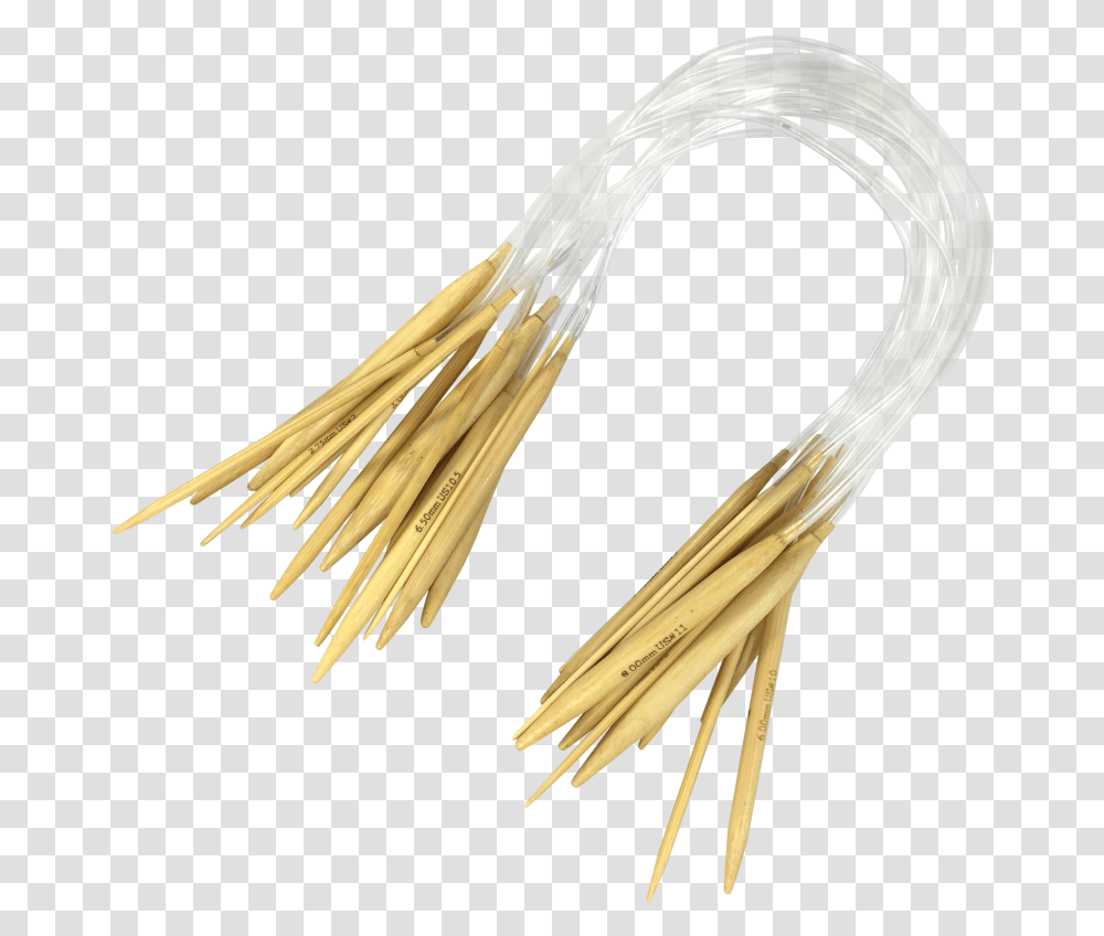 Wire, Bird, Animal, Cable, Whip Transparent Png