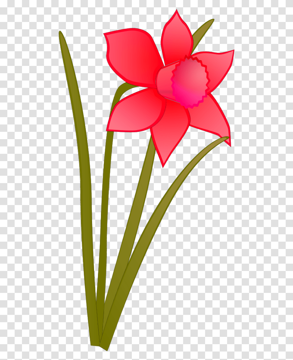 Wire Clip Art, Plant, Flower, Blossom, Petal Transparent Png