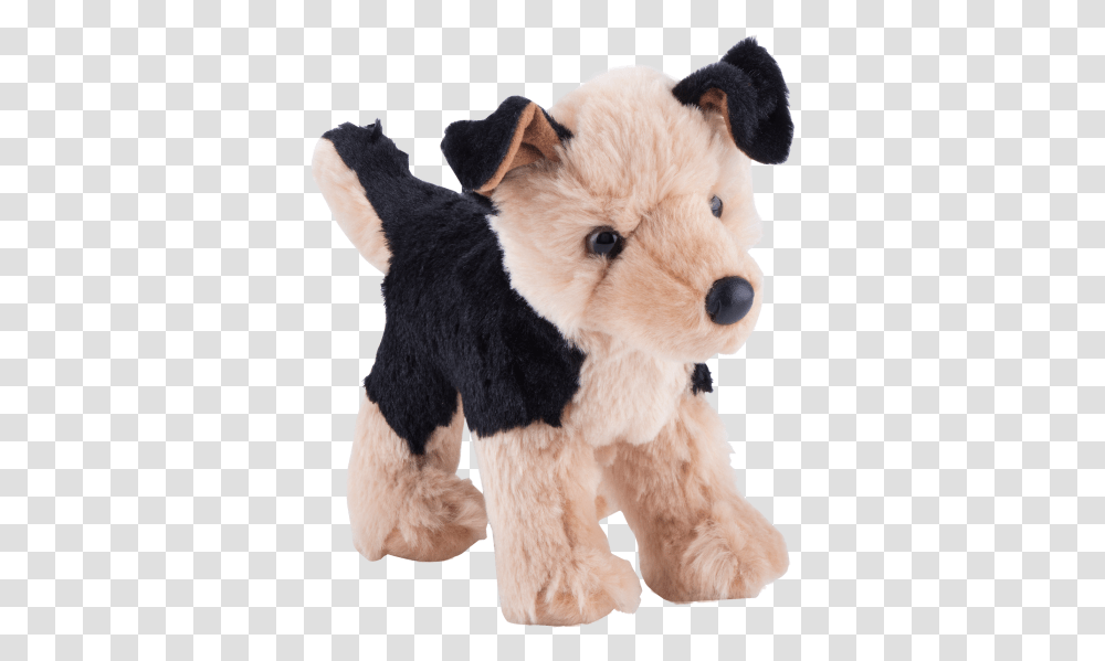 Wire Hair Fox Terrier, Plush, Toy, Dog, Pet Transparent Png