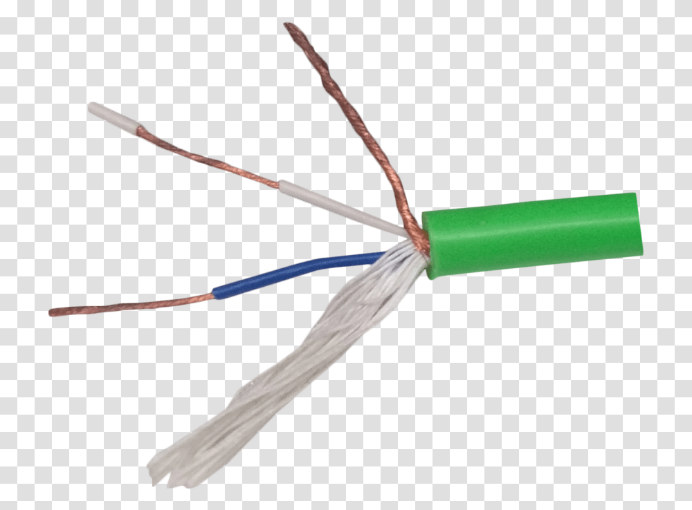 Wire, Insect, Invertebrate, Animal, Plant Transparent Png