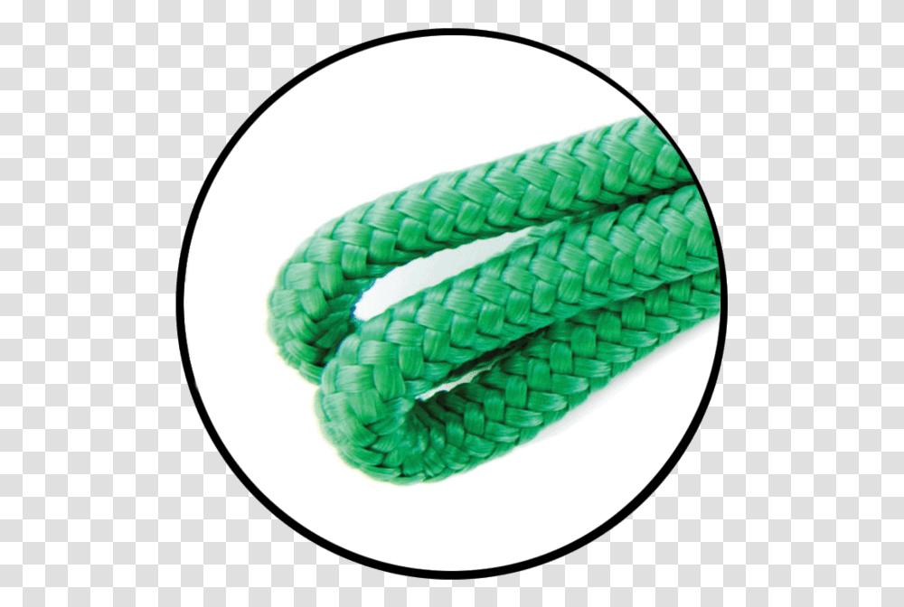 Wire, Rope, Snake, Reptile, Animal Transparent Png