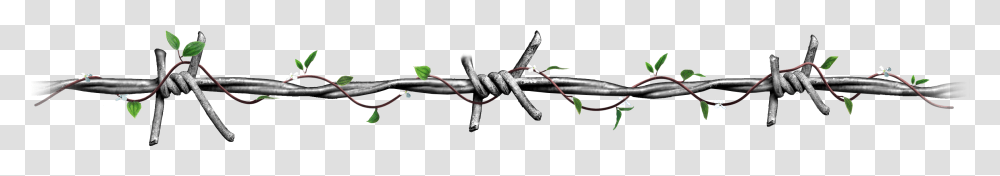Wire Scum, Barbed Wire Transparent Png