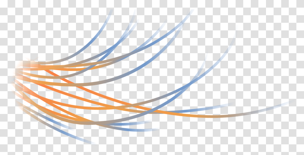 Wire, Handwriting, Signature, Autograph Transparent Png