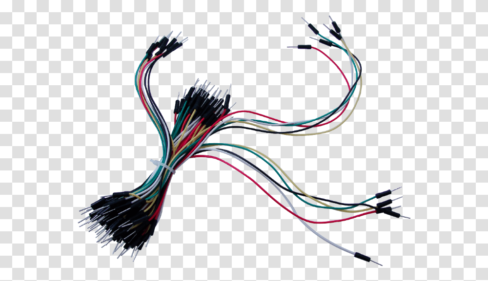 Wire, Wiring, Bird, Animal, Cable Transparent Png