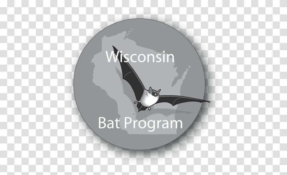 Wisconsin Bat Program Logo Wisconsin Bat Program, Bird, Animal, Swallow, Jay Transparent Png