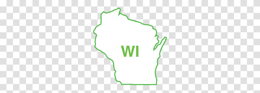 Wisconsin Requirements For Massage Therapists, T-Shirt, Light, Hand, Plant Transparent Png