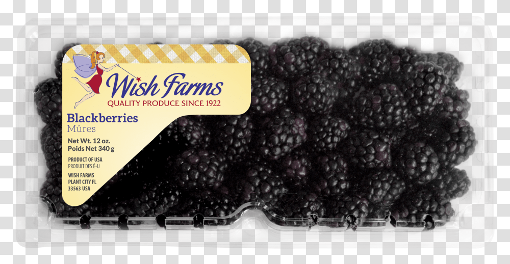 Wish Farms, Blueberry, Fruit, Plant, Food Transparent Png