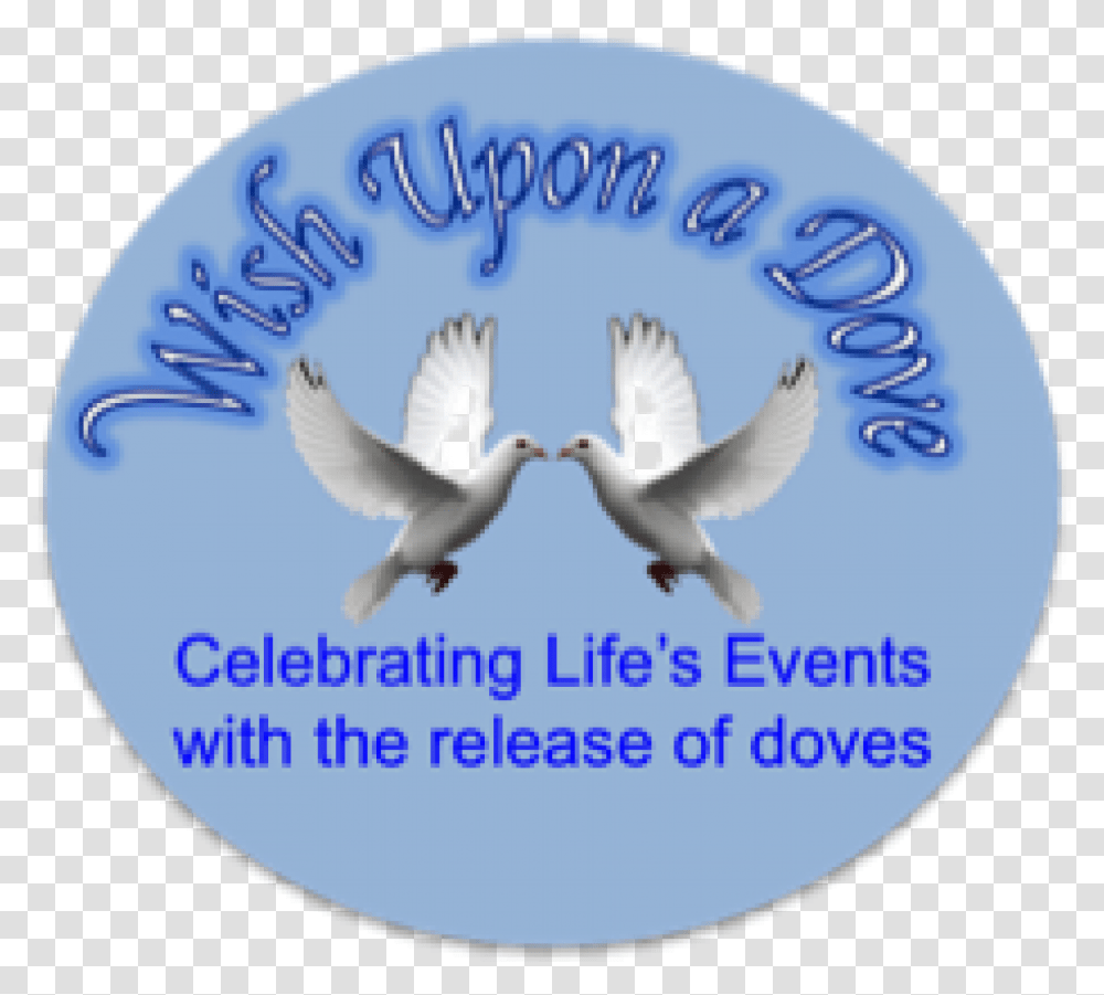 Wish Upon A Dove Seabird, Animal, Pigeon, Logo Transparent Png