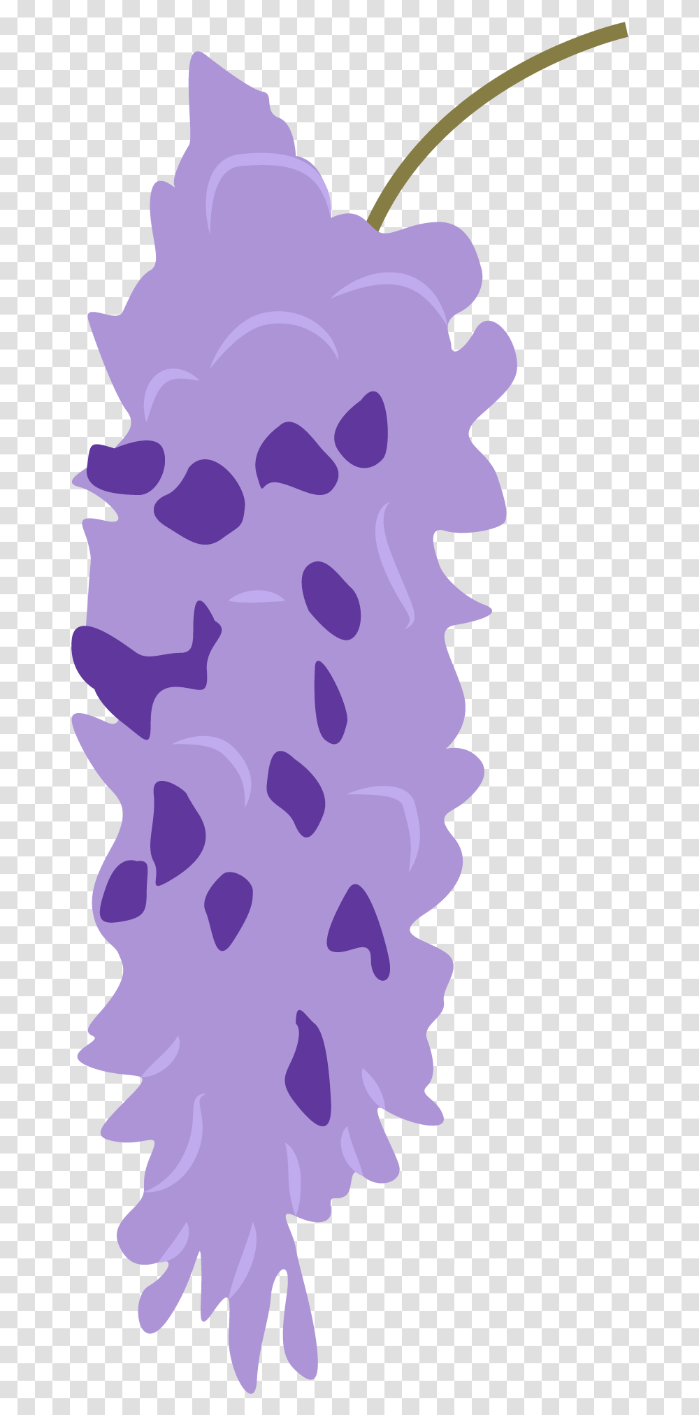 Wisteria Flower Vertical, Purple, Texture, Pattern, Sponge Transparent Png