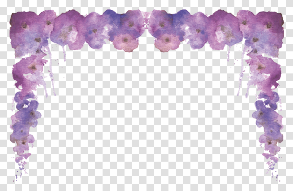 Wisteria, Purple, Plant Transparent Png
