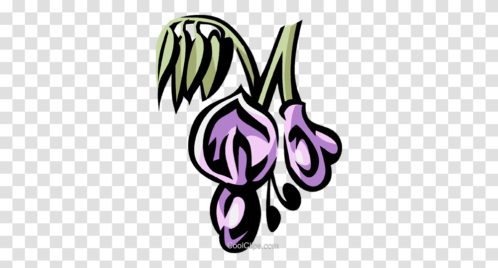 Wisteria Royalty Free Vector Clip Art Illustration, Plant, Produce, Food, Vegetable Transparent Png