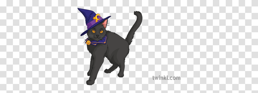 Witch Black Cat Halloween Spooky Cartoon Magic Black Cat, Clothing, Apparel, Animal, Mammal Transparent Png