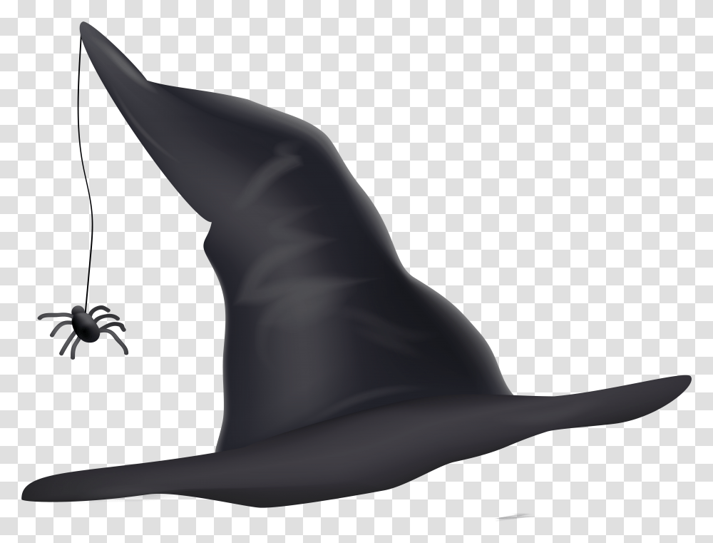 Witch Hat Clipart High, Sea Life, Animal, Mammal, Sea Lion Transparent Png