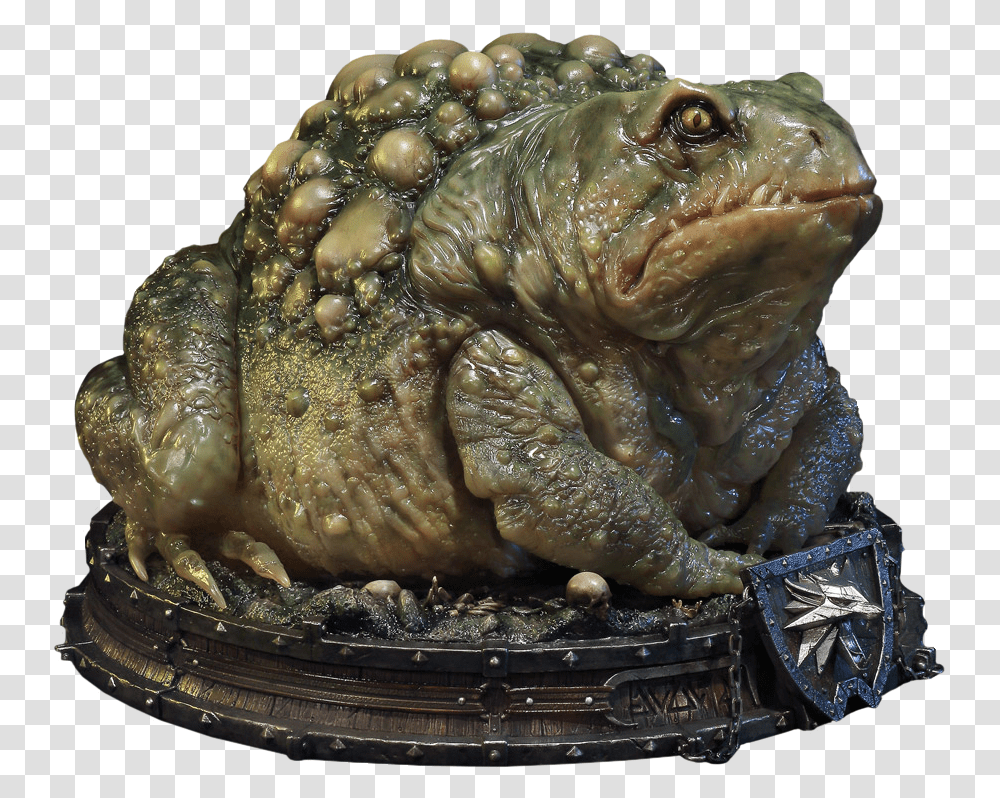 Witcher Toad, Wildlife, Animal, Amphibian, Frog Transparent Png