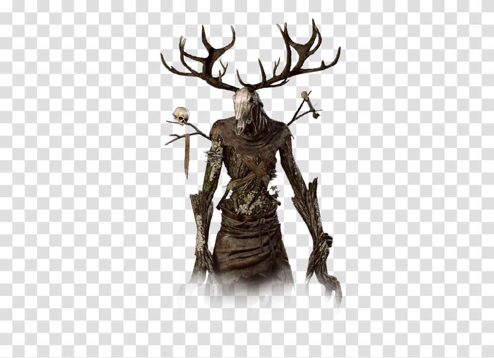 Witcher Wiki Leshen Monster Hunter World Render, Person, Human, Bronze, Plant Transparent Png