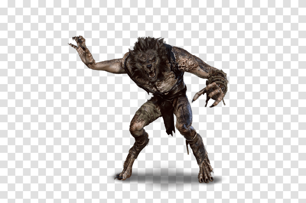 Witcher Wiki Lupo Mannaro The Witcher, Alien, Dog, Pet, Canine Transparent Png