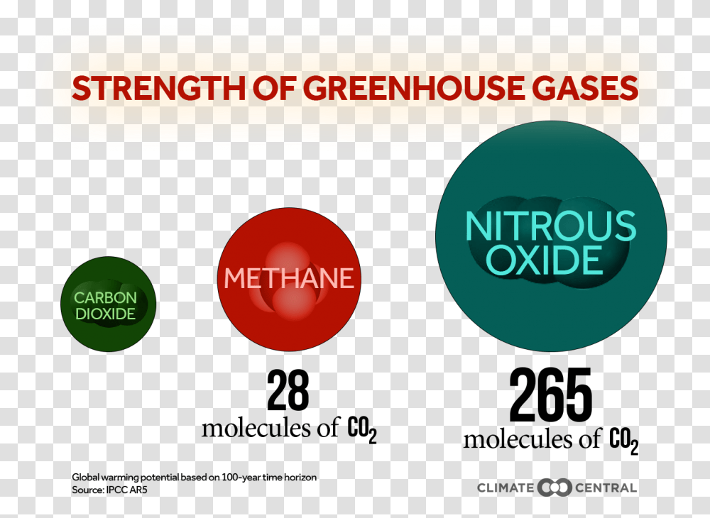 With A Title Without Greenhouse Gases Strength, Label, Urban, Paper Transparent Png
