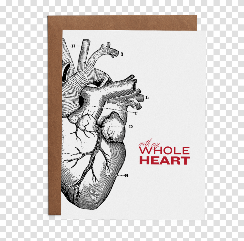 With My Whole Heart Anatomical Heart Medical Illustration, Hand, Drawing, Skin Transparent Png