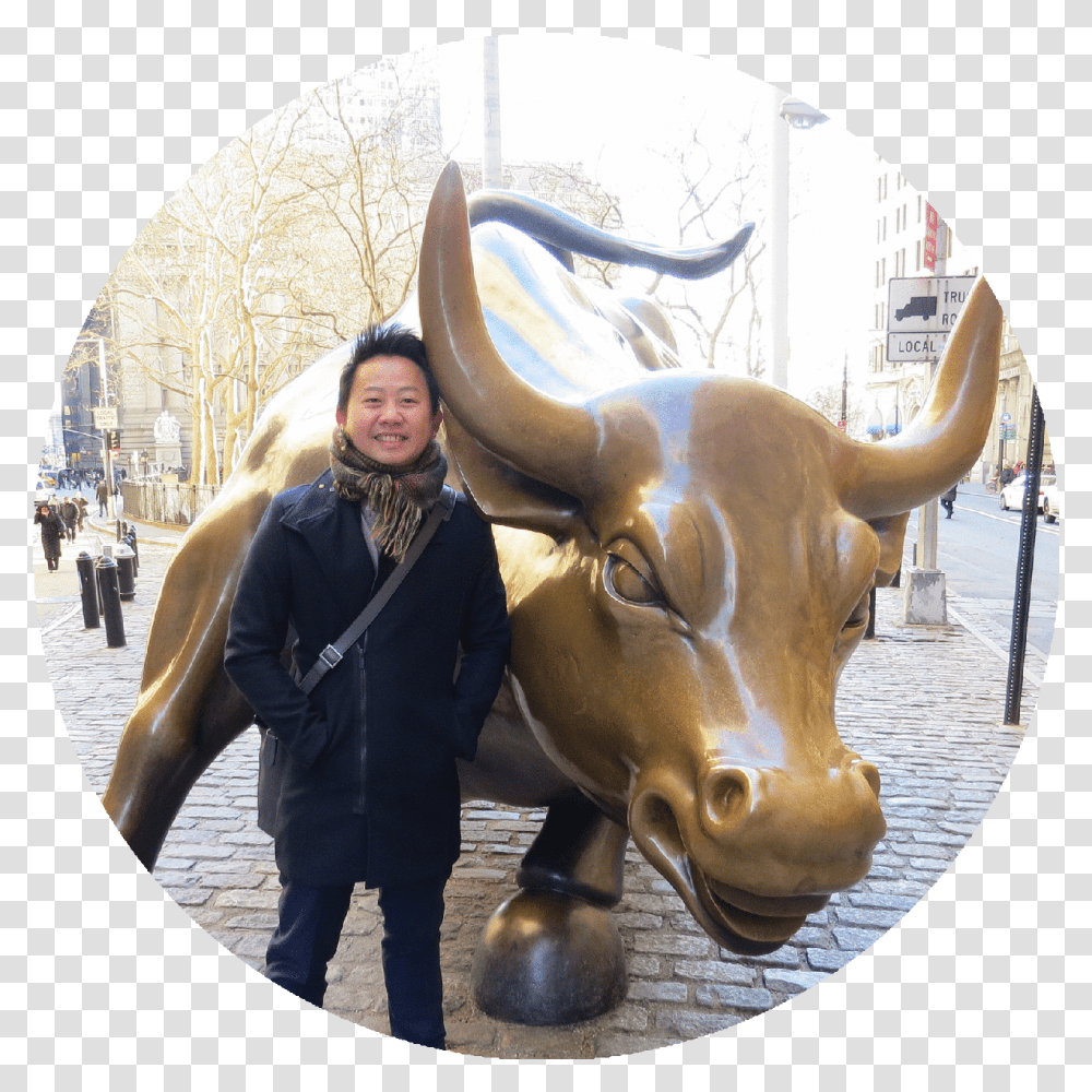 With The Wall St Bull Charging Bull, Person, Mammal, Animal, Elephant Transparent Png